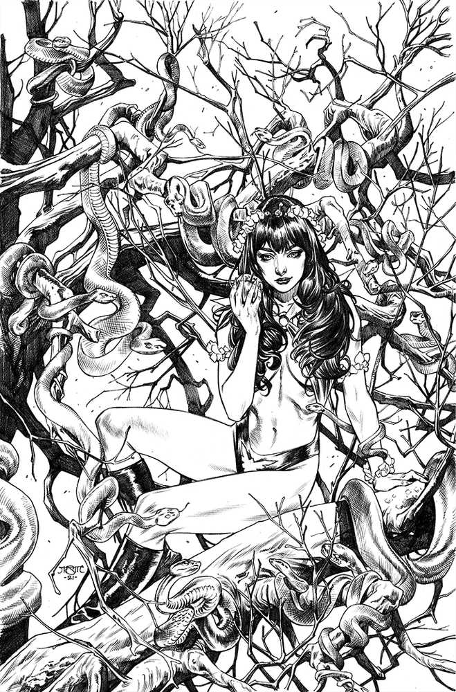 Vengeance Of Vampirella #19 7 Copy Maria Black & White Virgin Foc Variant Edition